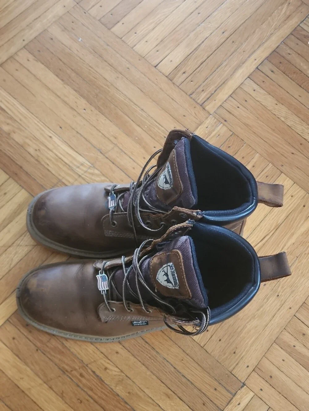 Irish Setter sturdy leather